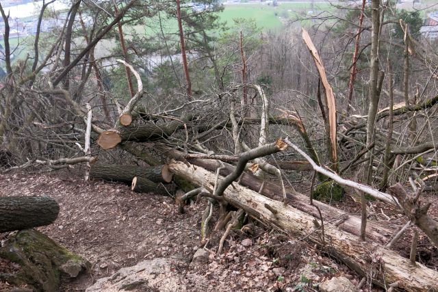 Šmarna po žledu, 27.02.14 - foto