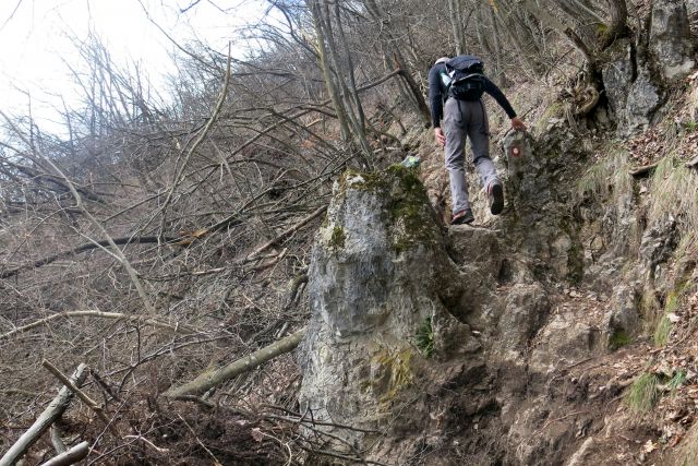 Šmarna po žledu, 27.02.14 - foto