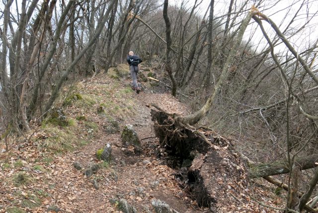 Šmarna po žledu, 27.02.14 - foto