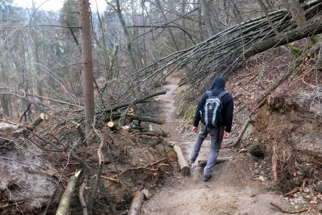 Šmarna po žledu, 27.02.14 - foto