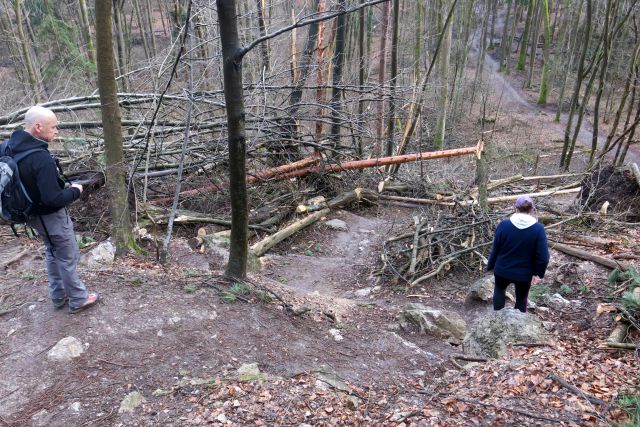 Šmarna po žledu, 27.02.14 - foto