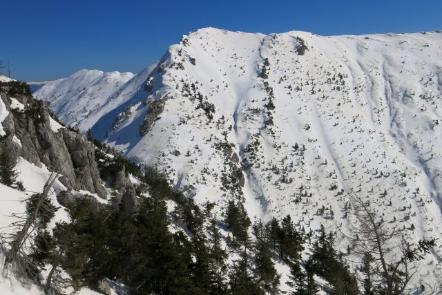 Kališče + Bašeljski vrh, 9.3.2014 - foto