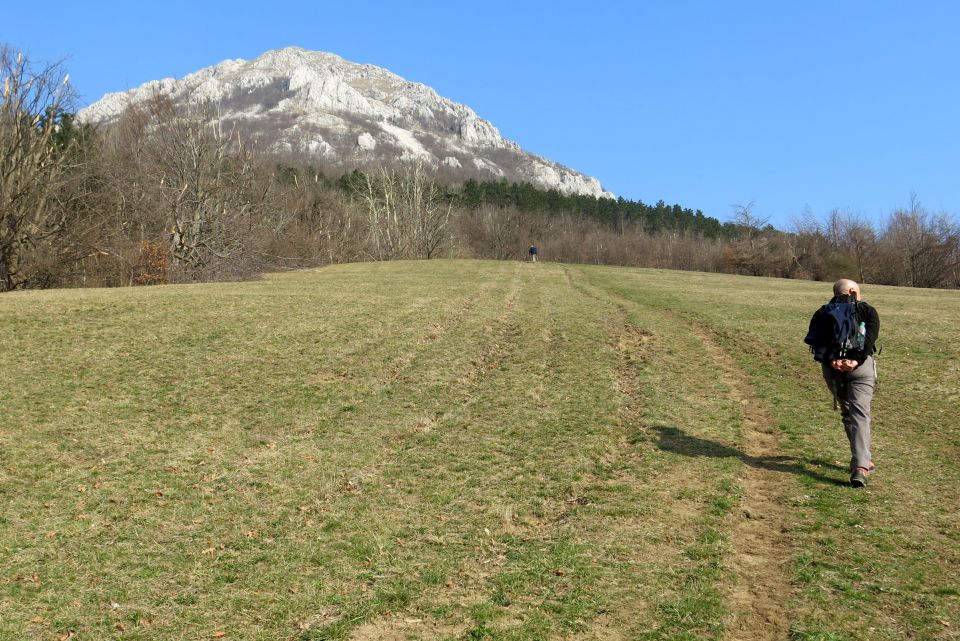 NANOS - grebenska, 16.03.2014 - foto povečava