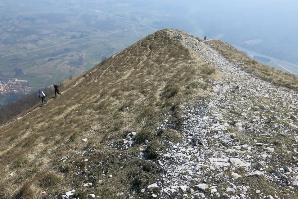 NANOS - grebenska, 16.03.2014 - foto povečava