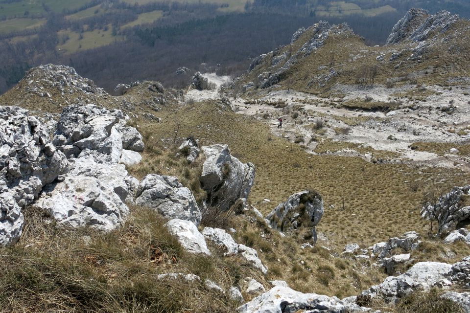 NANOS - grebenska, 16.03.2014 - foto povečava