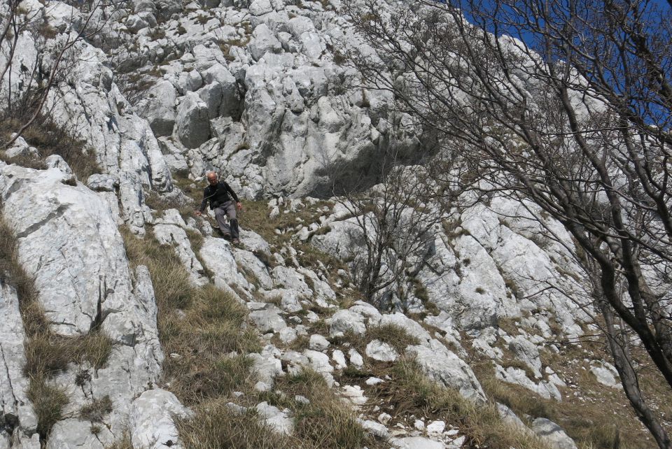 NANOS - grebenska, 16.03.2014 - foto povečava