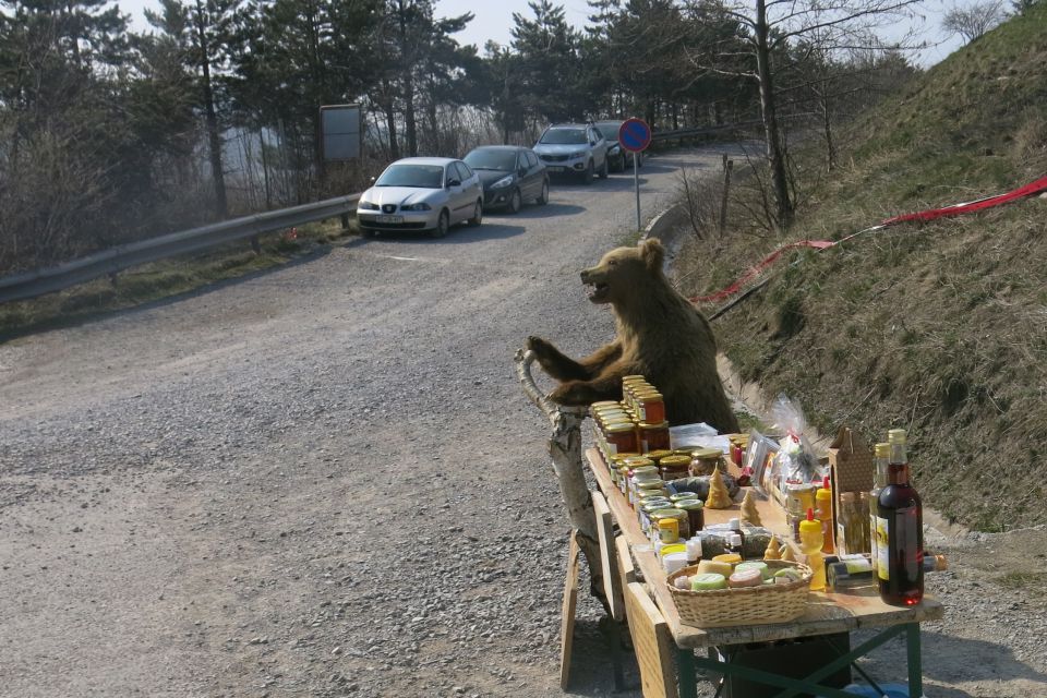 NANOS - grebenska, 16.03.2014 - foto povečava