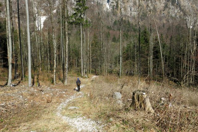 Cojzova k. +  29.03.2014 - foto