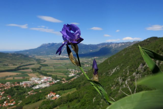 Gradiška tura  17.04.2014 - foto