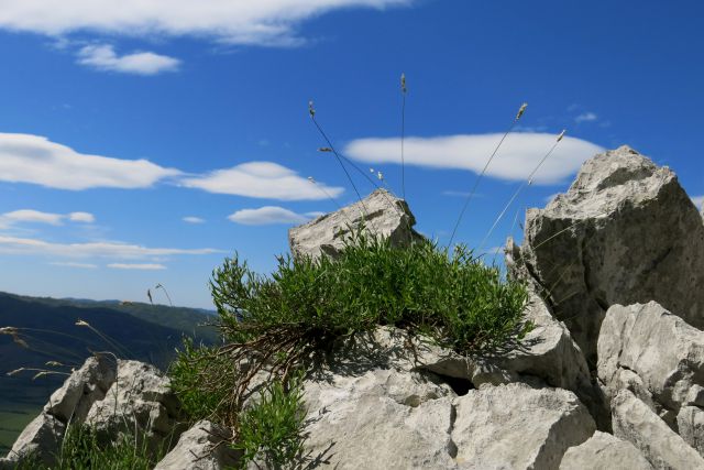 Gradiška tura  17.04.2014 - foto