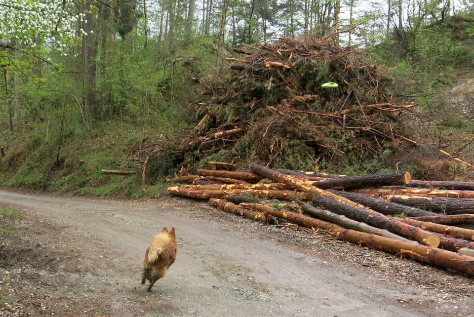 Kati + Vrbnje + ... 21.04.2014 - foto povečava