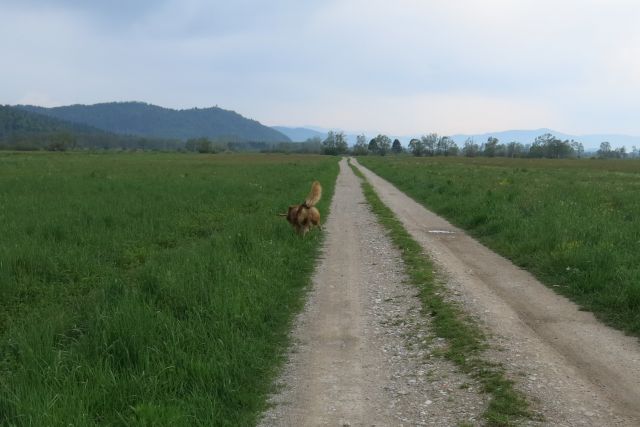 ... direkt na glavo v drugi graben