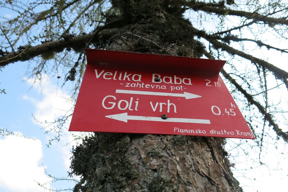 Goli vrh, 01.04.2014 - foto povečava