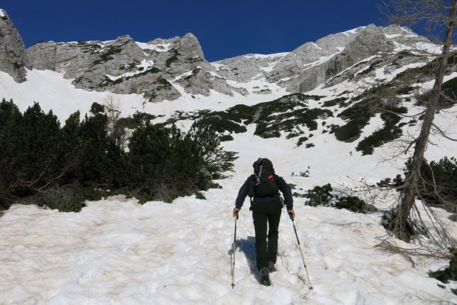 M. Mojstrovka po pripravniški  05.05.2014 - foto