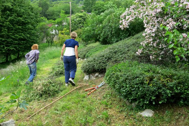 Dingo v SEMIČU - 11.05.2014 - foto