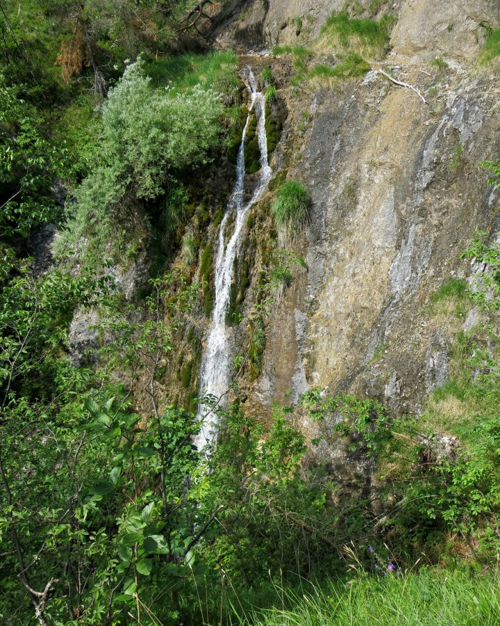 Gonte 31.05.2014 - foto povečava