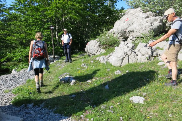 Začetek poti