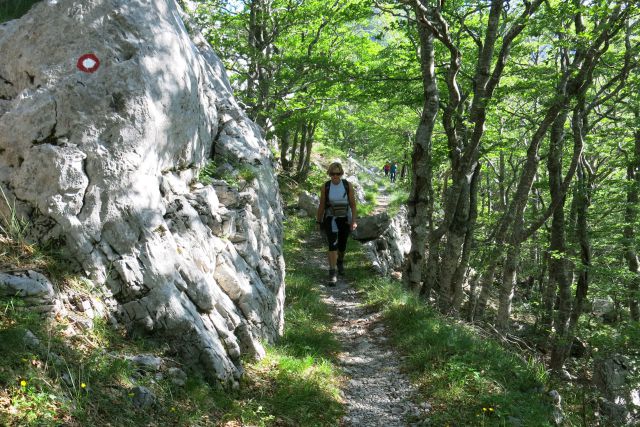 Stinica - s. velebit, 9.6.2014 - foto