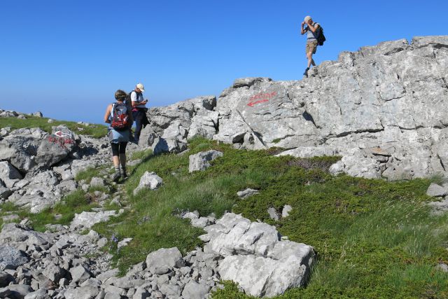 Stinica - s. velebit, 9.6.2014 - foto