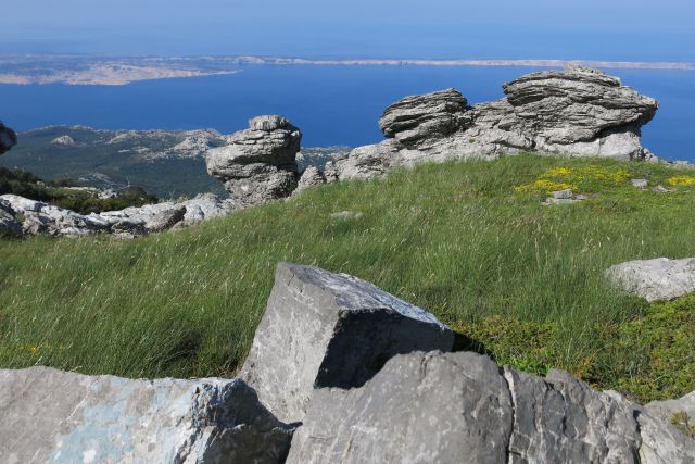 Stinica - s. velebit, 9.6.2014 - foto