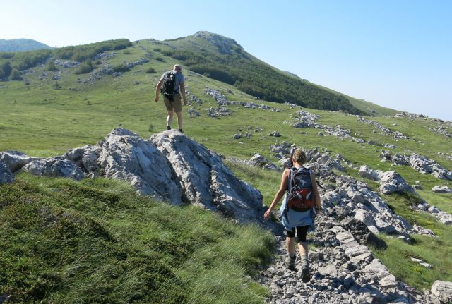 Stinica - s. velebit, 9.6.2014 - foto