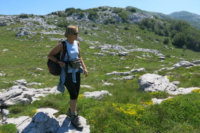 Stinica - s. velebit, 9.6.2014 - foto