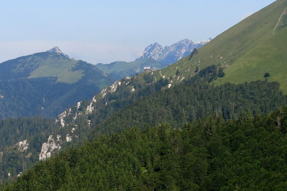 Struška  22.06.2014 - foto povečava