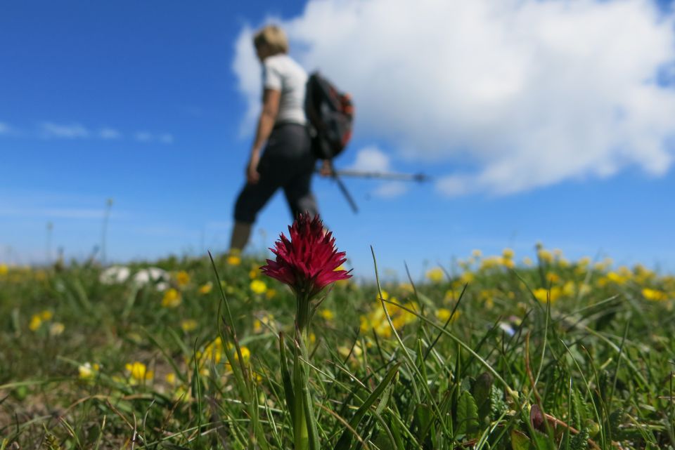 Struška  22.06.2014 - foto povečava