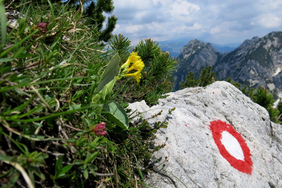 LEDINE + Baba, 28.06.2014 - foto povečava