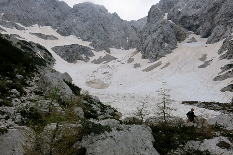 LEDINE + Baba, 28.06.2014 - foto povečava