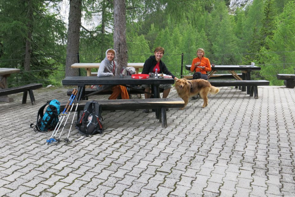 kava, štrudelj in pasji piškotki