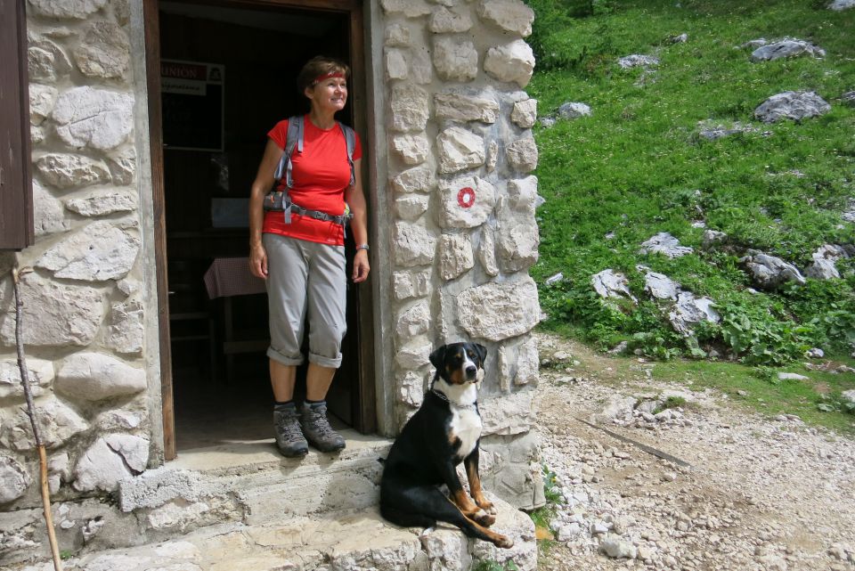 Vodnikov dom + Cesar  2098m, 12.07.2014 - foto povečava