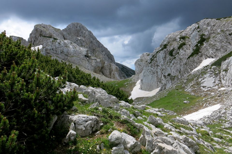 Vodnikov dom + Cesar  2098m, 12.07.2014 - foto povečava