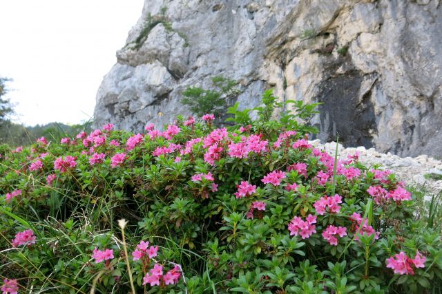 Šraj peski čez skok 19.07.2014 - foto