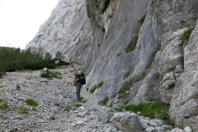 Pod vežco