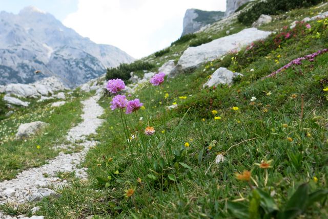 Šraj peski čez skok 19.07.2014 - foto