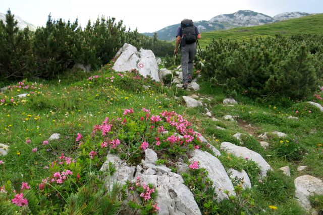 Šraj peski čez skok 19.07.2014 - foto