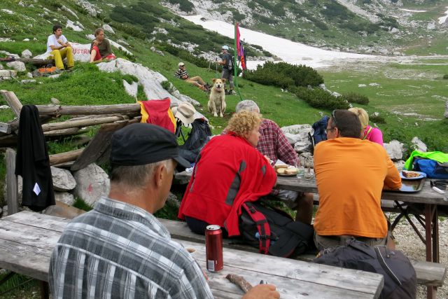 Kuža glasno protestira ...