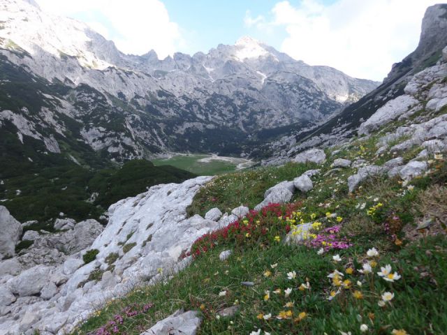 Šraj peski čez skok 19.07.2014 - foto