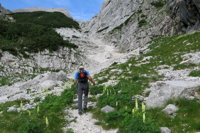 ŠKRLATICA , 07.08.2014 - foto