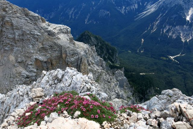 ŠKRLATICA , 07.08.2014 - foto