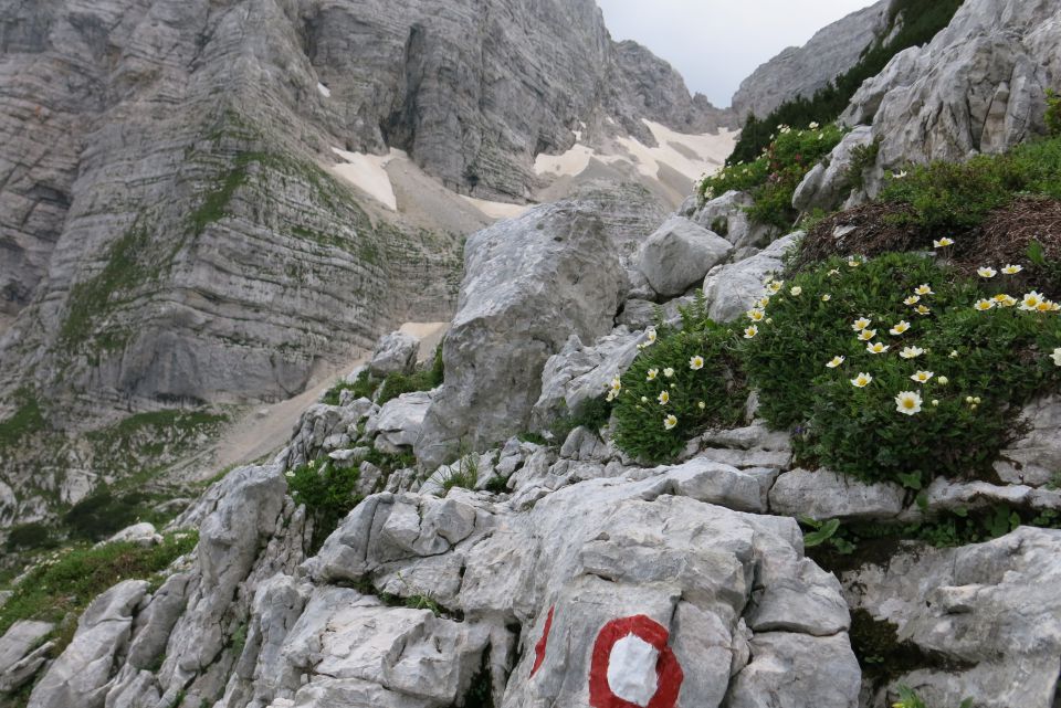 ŠKRLATICA , 07.08.2014 - foto povečava