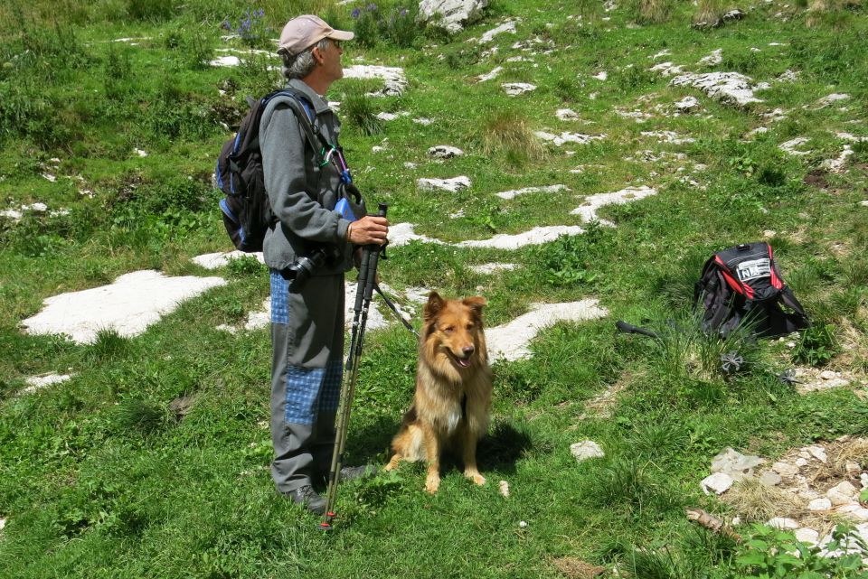 tu je dingova ljubica doma ...