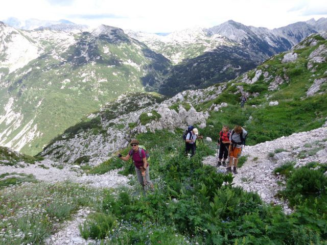 Dingo na M. Šmohorju, 17.08.2014 - foto