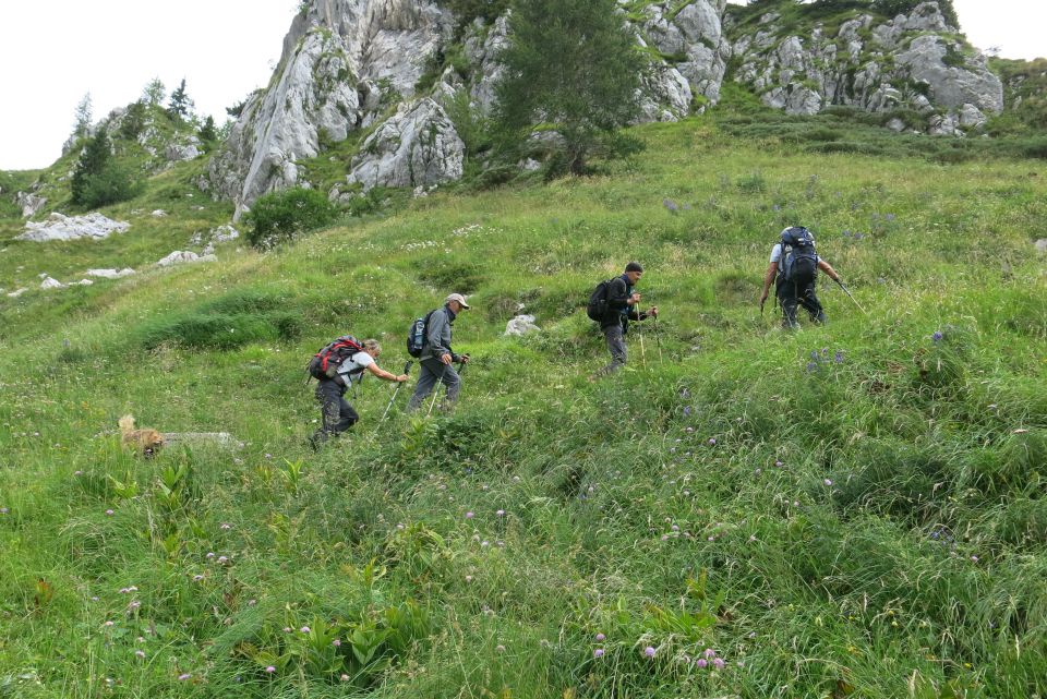 Vogel pri Krnu, 18.08.2014 - foto povečava