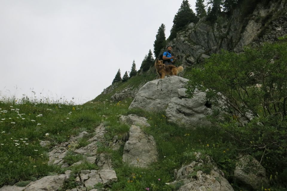 Vogel pri Krnu, 18.08.2014 - foto povečava