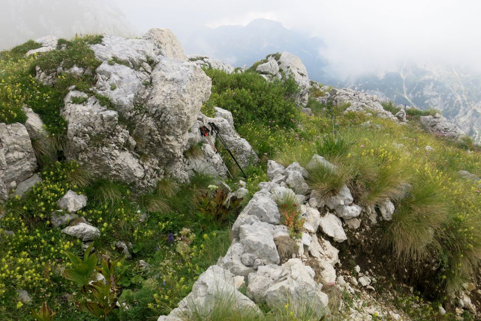 Vogel pri Krnu, 18.08.2014 - foto povečava