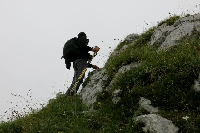 Vogel pri Krnu, 18.08.2014 - foto