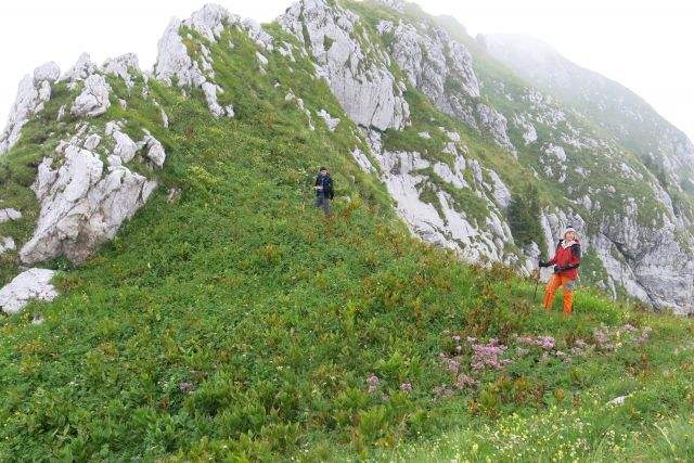 Vogel pri Krnu, 18.08.2014 - foto