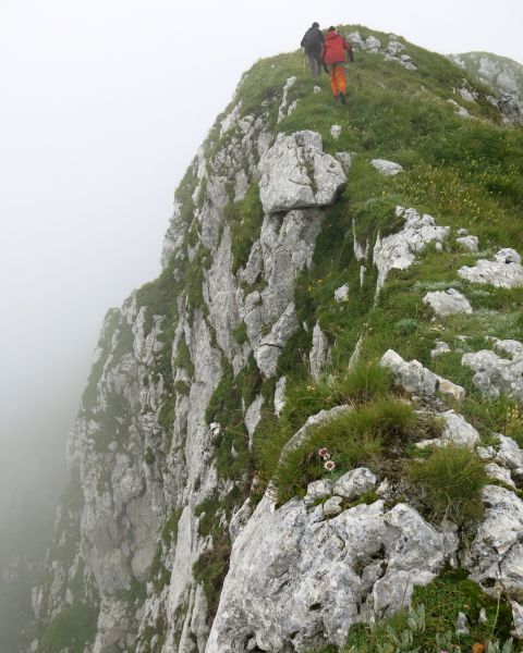 Vogel pri Krnu, 18.08.2014 - foto